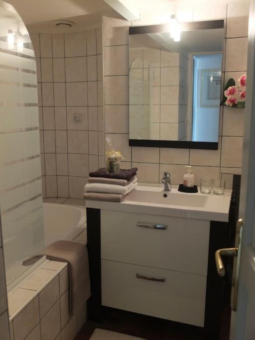 Apartamento Charming Flat In Historical Centre Dijon Exterior foto